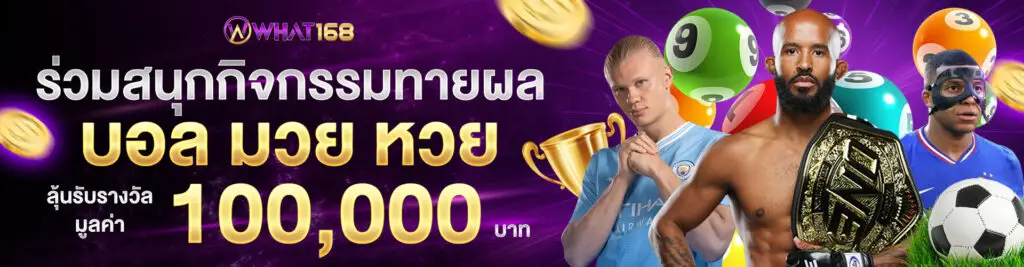 banner promotion4